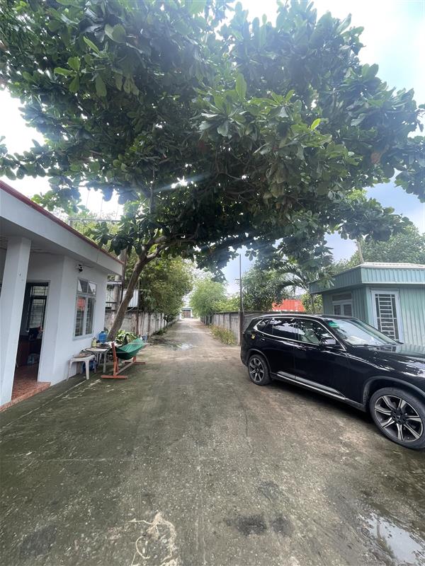 Củ Chi: Bán Gấp 4740m2 Đất Đường  Nhuận Đức, 78x55m, Giá Chỉ 22 Tỷ! Sổ - Ảnh 4